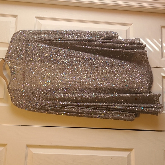 Silk Sequined Silver Jacket - Picture 4 of 4